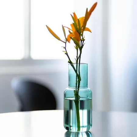 Syntheseas Tatil Evi *