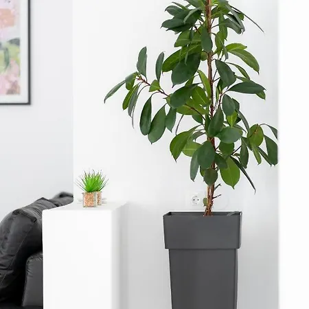 Tatil Evi Syntheseas Resmo