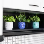 Hébergement de vacances Syntheseas