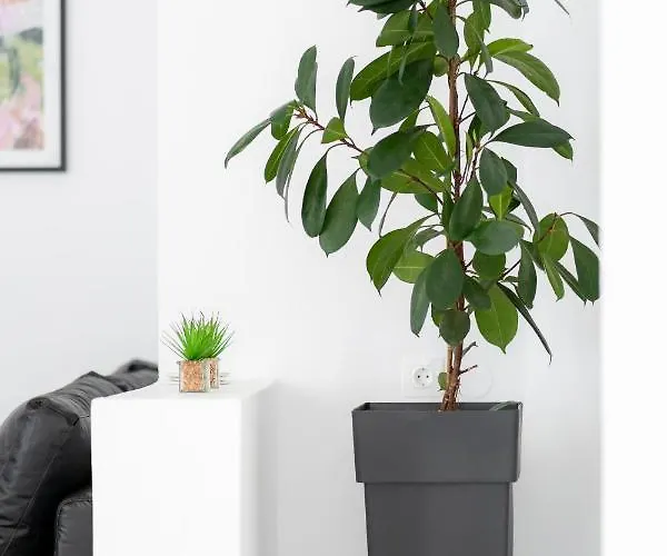 Casa de Férias Syntheseas Rethymno