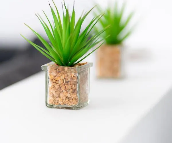 Syntheseas Casa vacanze